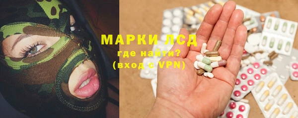 стаф Сафоново