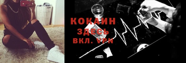 стаф Сафоново
