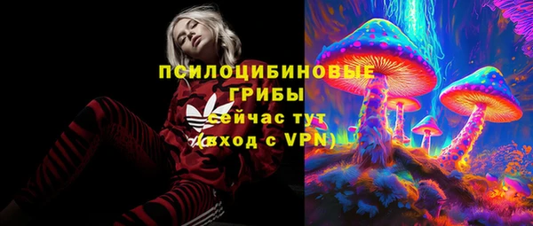 стаф Сафоново