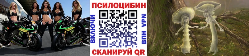 где купить наркоту  Дивногорск  Галлюциногенные грибы Cubensis 